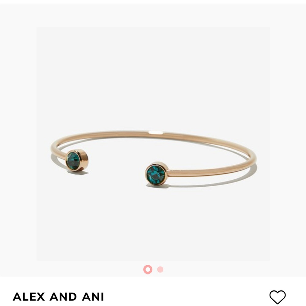 Alex & Ani Bangle